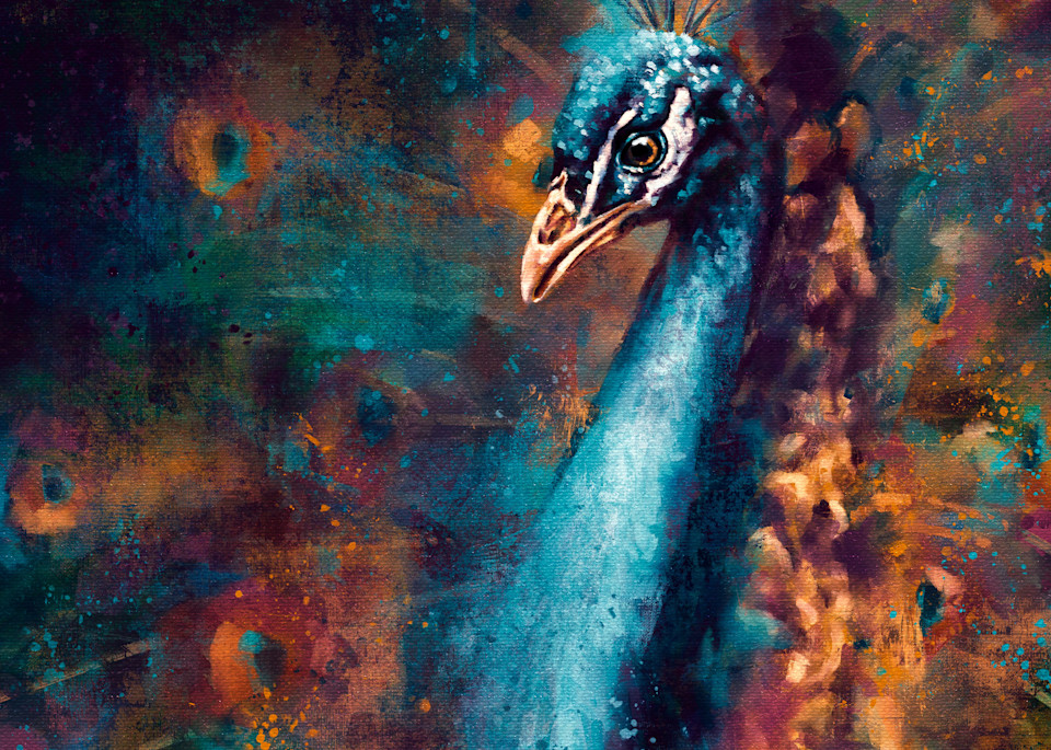 Peacock Art | Karen Broemmelsick Photography and Art