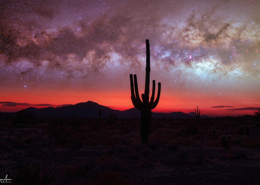 Sonran Desert Blend Photography Art | Evanamos