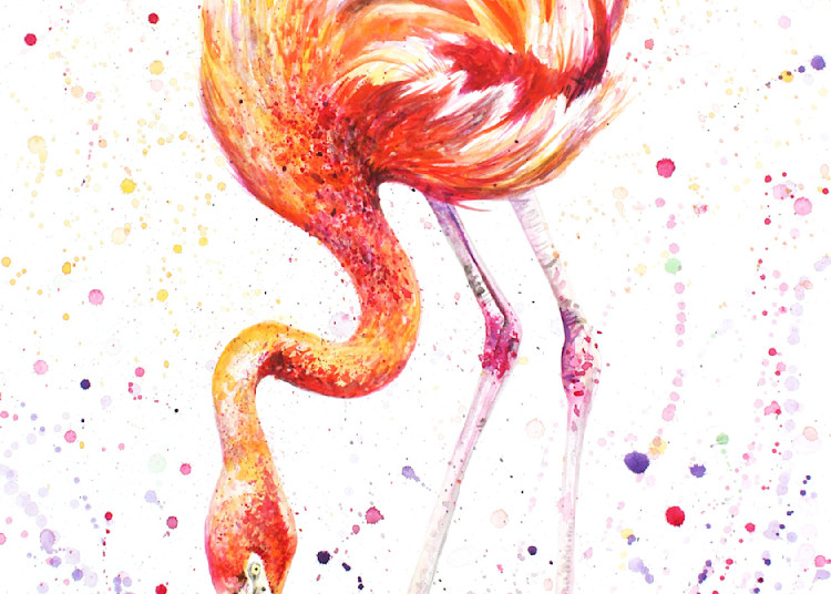 Animal Prints - Fanciful Flamingo