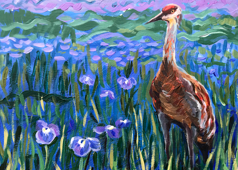 Sandhill crane in iris field, Alaska art print by Amanda Faith Thompson