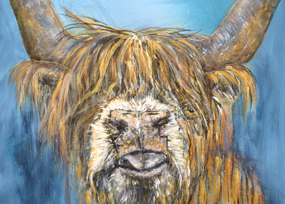 Little Highland Cow Art | lisaabbott.art