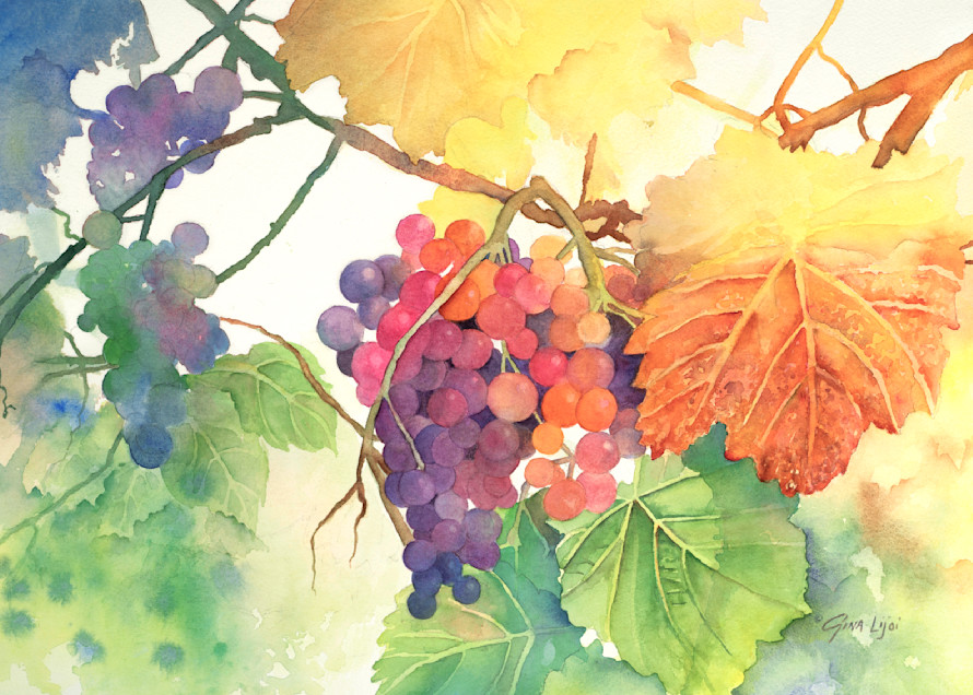 Rainbow Fruit Art | Gina Lijoi Fine Art