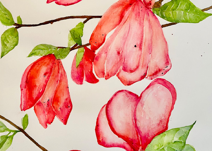 Springtime Magnolias Art | Sherry Harradence Artist