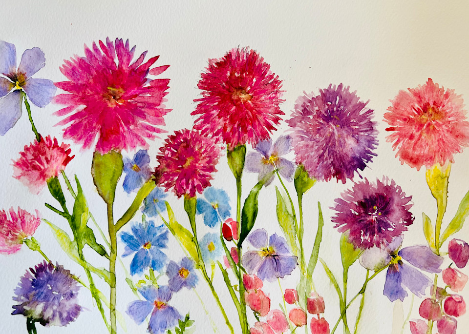 Wild Flowers Art | Sherry Harradence Artist