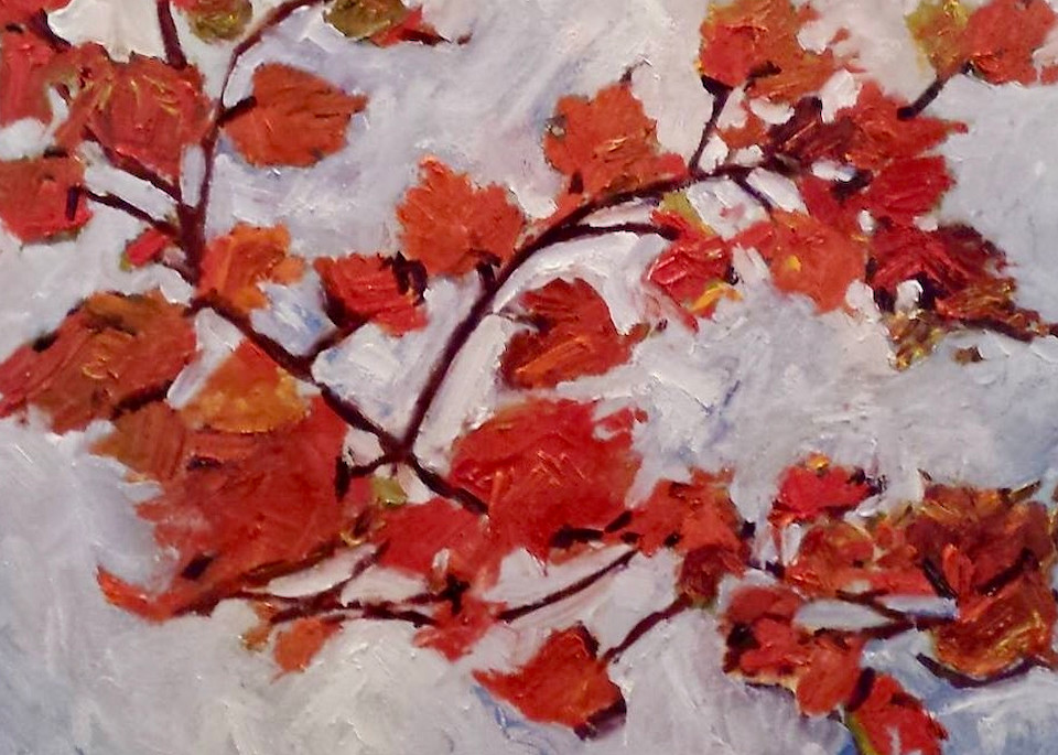 Maples Blowing In The Wind Art | Sherry Harradence Artist