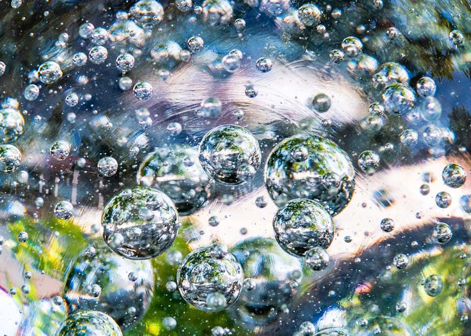 Bubbles Photography Art | Webster Gallery