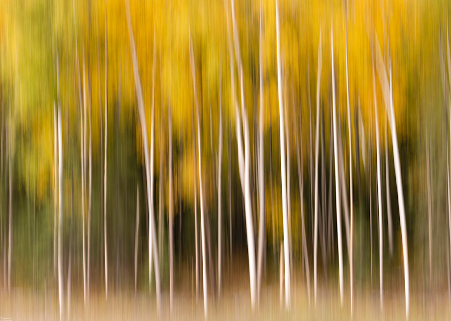 In-camera blur of fall colors.