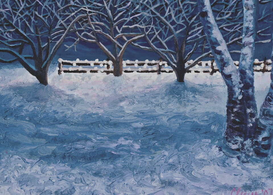 Winter Illumination Art | Elizabeth Cleary