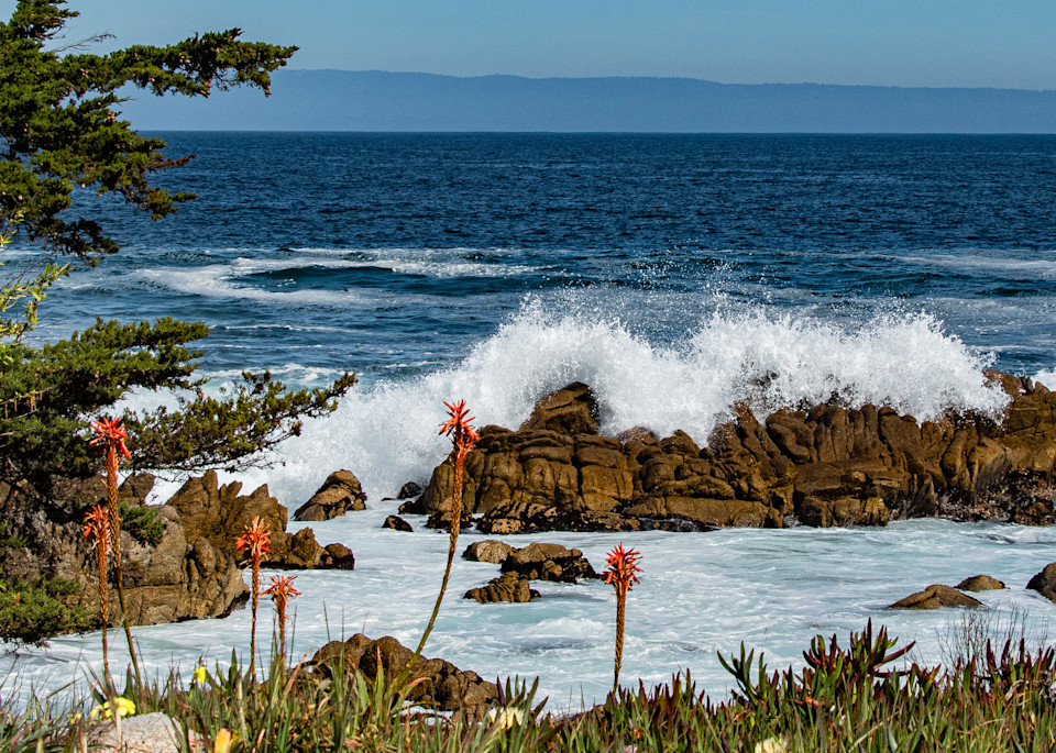 Monterey 2 Photography Art | Webster Gallery