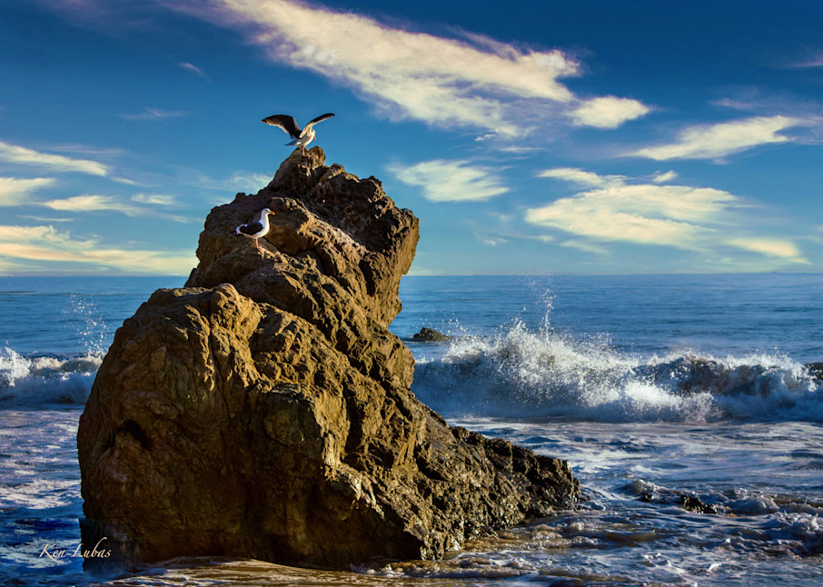 Malibu Gulls Photography Art | Art Beyond Control
