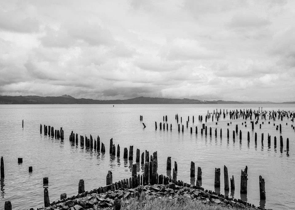 Old Pilings on the Columbia River, Astoria, Oregon,2022