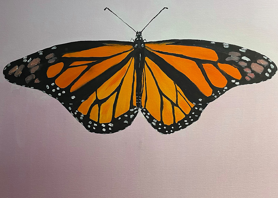 Monarch 1 Art | Jay Decker Art