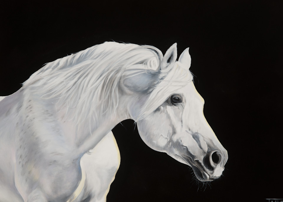 White Horse On Black Art | Dawn Taft
