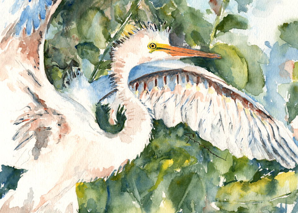 Great Egret Watercolor Painting | Claudia Hafner Watercolor
