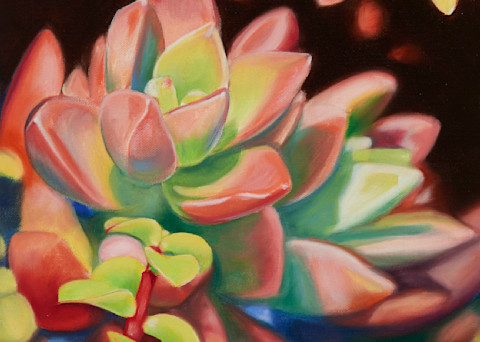 Succulents 4 Art | Dawn Taft