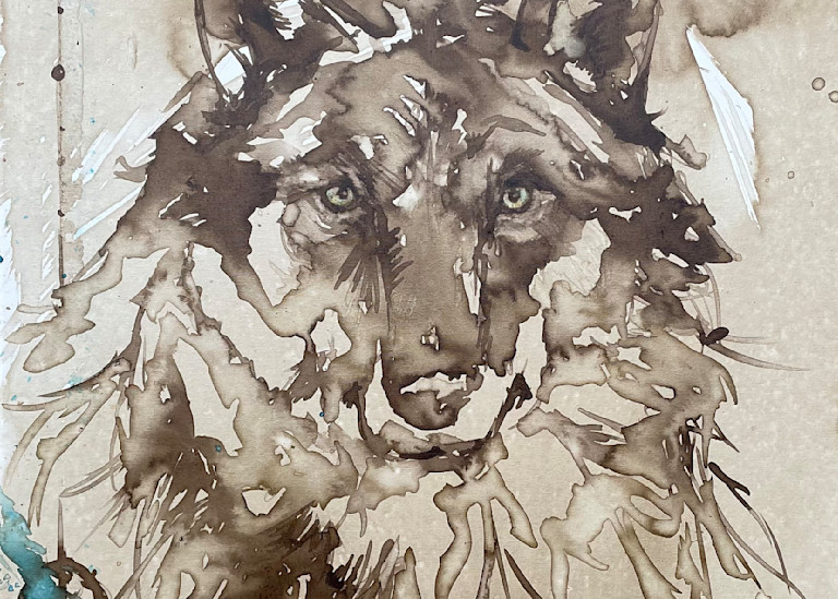 Walnut Wolf Artwork by Christy Freeman Stark done in ink and coffee.