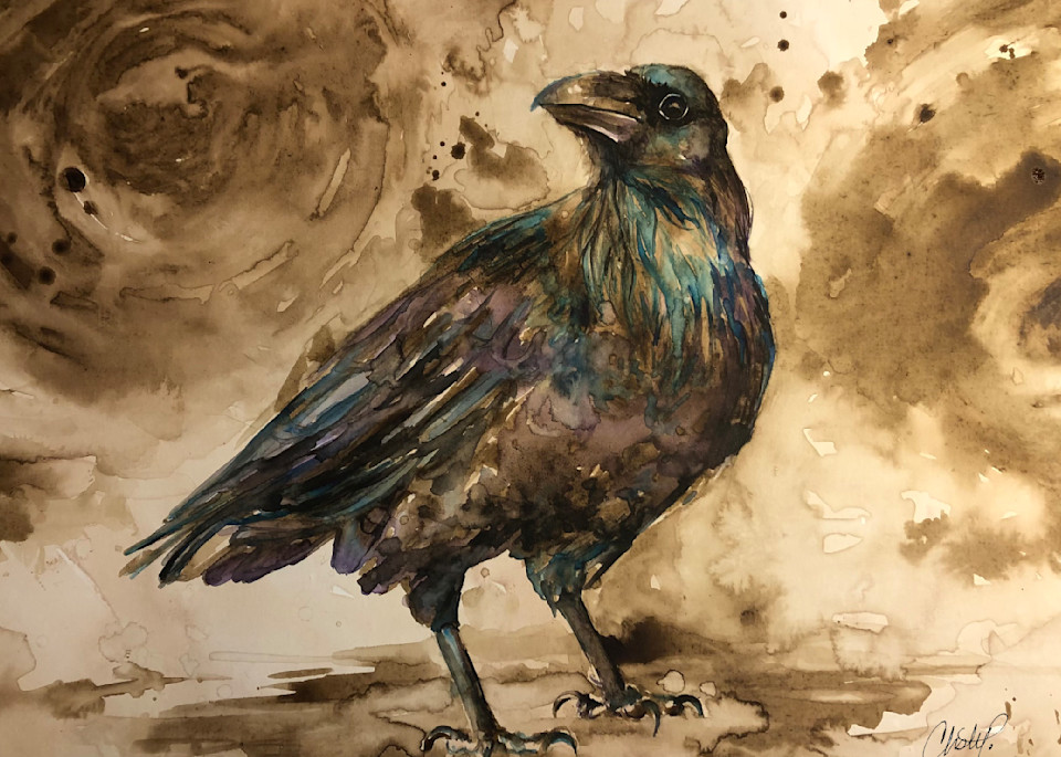 Walnut Crow Fine Art Ink Painting by Christy