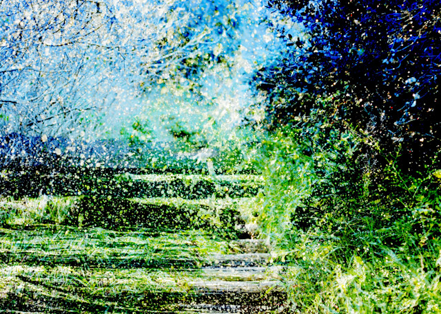 Woodland Splash Photography Art | RoVan Media Prints