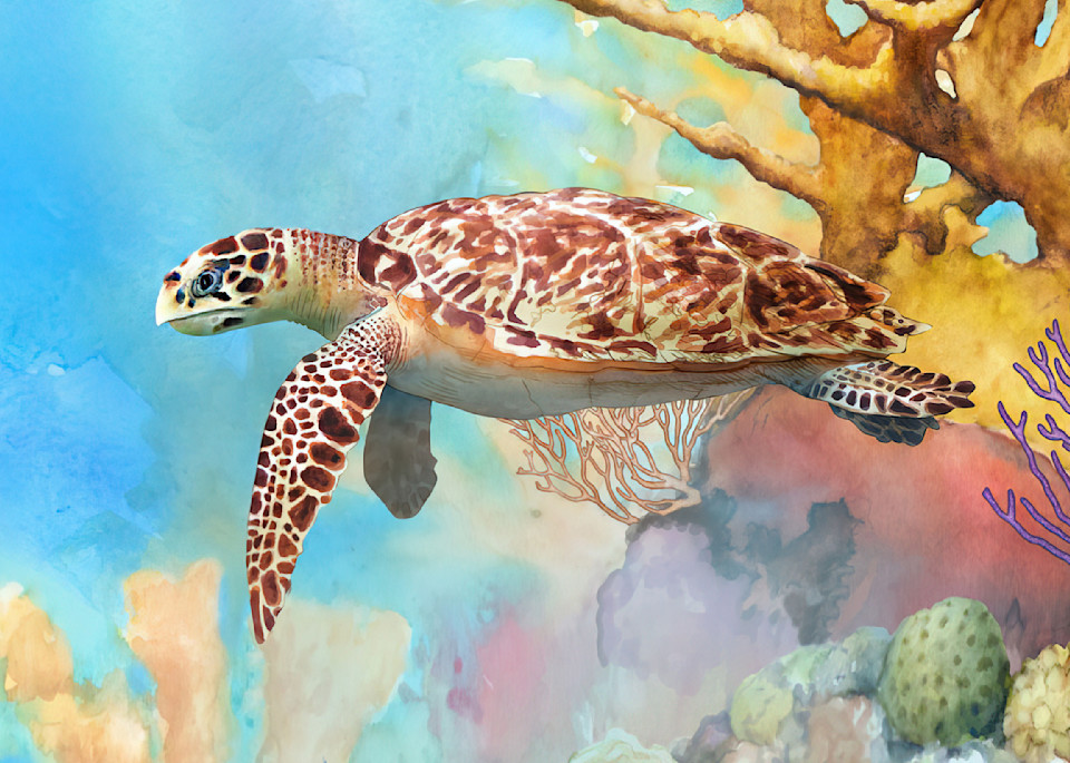 Hawksbill Sea Turtle Pillow