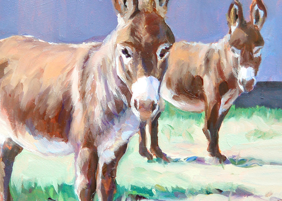 Donkey Duo  Art | B.Harmon Art, Illustration & Prints