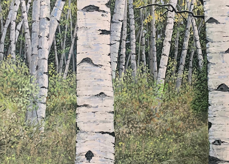 White Birch Woods Art | Skip Marsh Art