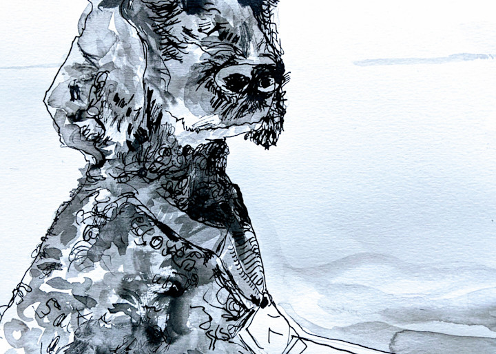  Poodle On A Boat ( In Ink) Art | Abigail Engstrand Art