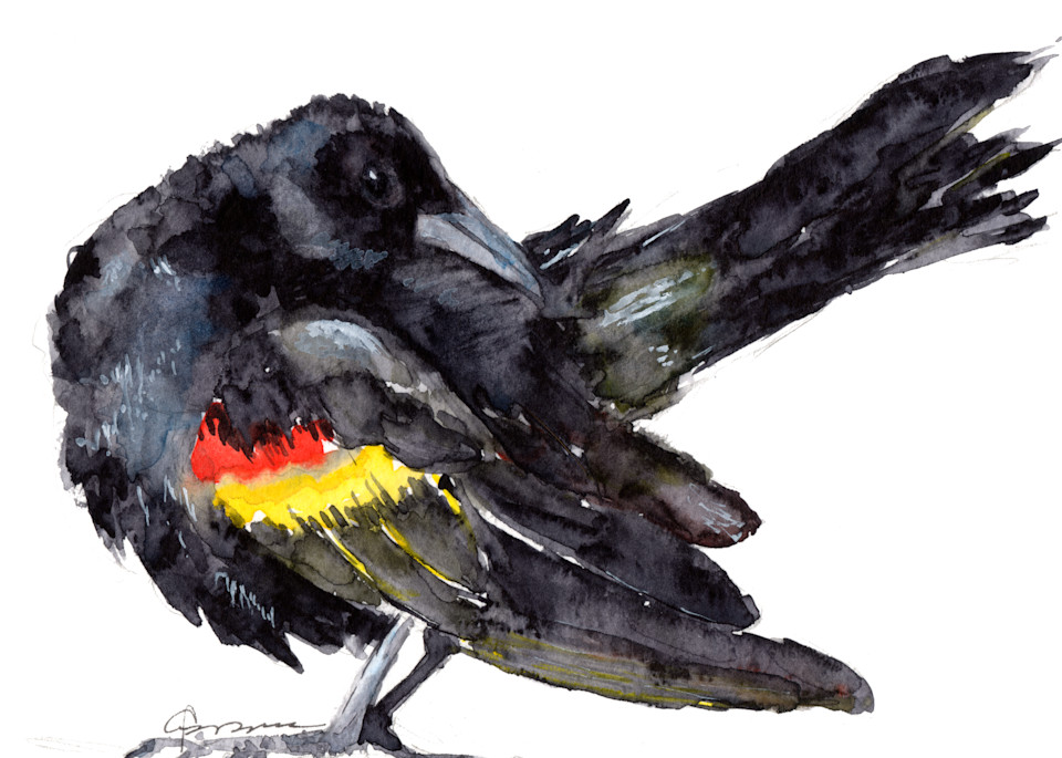 Red-winged Blackbird Watercolor Print | Claudia Hafner Watercolor