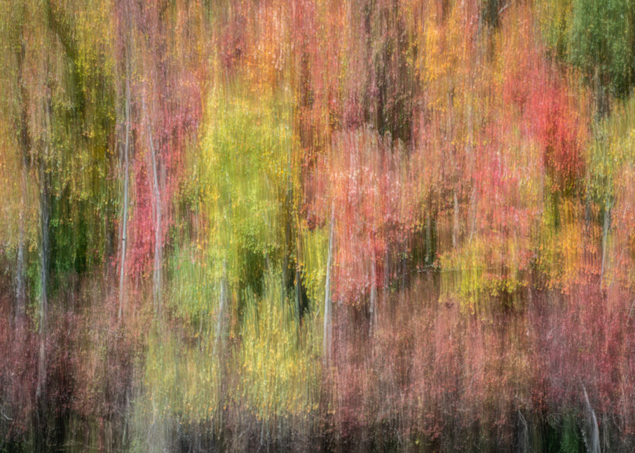Fall Color 9 Photography Art | Mario Cornacchione