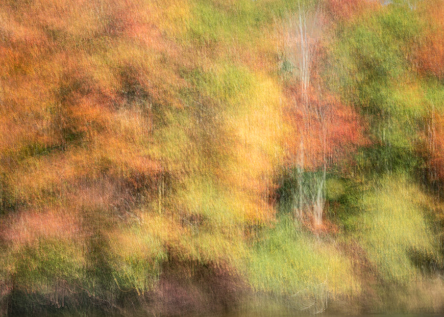 Fall Color 8 Photography Art | Mario Cornacchione