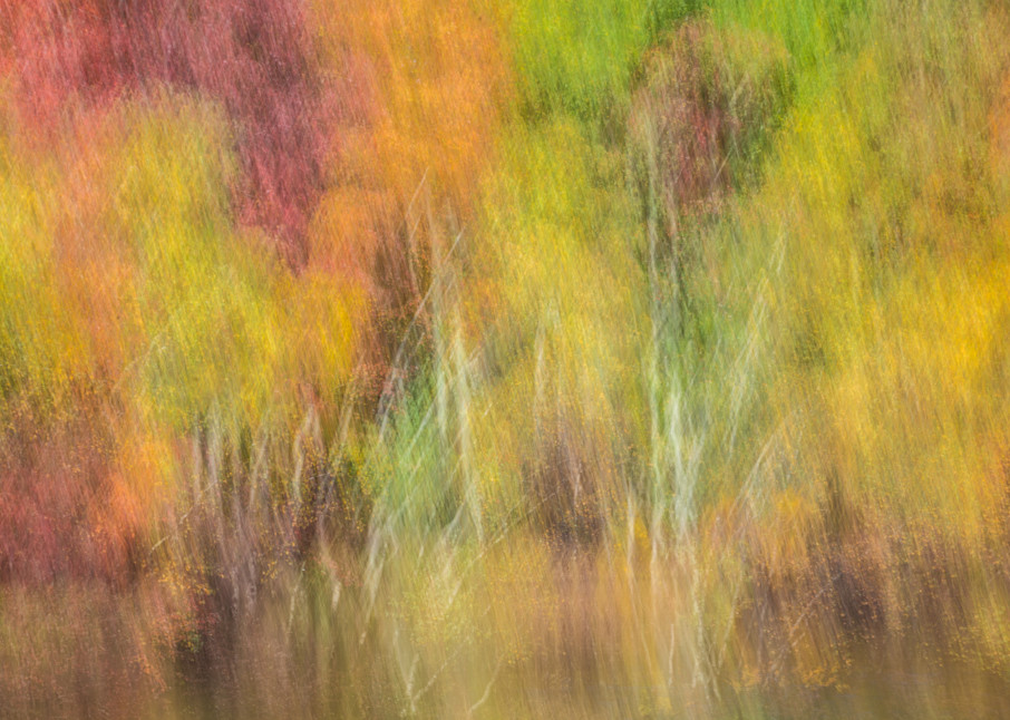 Fall Color 5 Photography Art | Mario Cornacchione