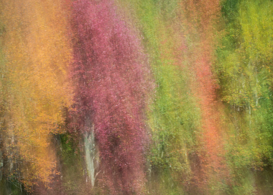 Fall Color 4 Photography Art | Mario Cornacchione