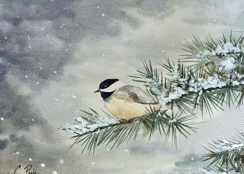 Winter Chickadee  Art | Cate Poole Water Colors