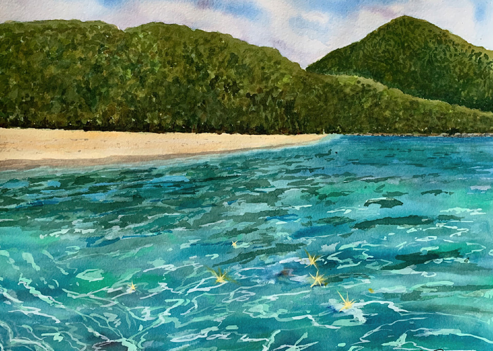 Island Gleam  Art | Cate Poole Water Colors