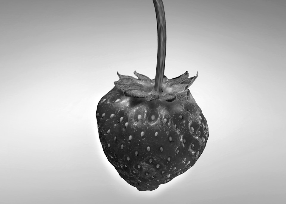 Strawberries have great textures and how often do we notice?
https://www.royfraserphotographer.com/bw-abstract-flowers