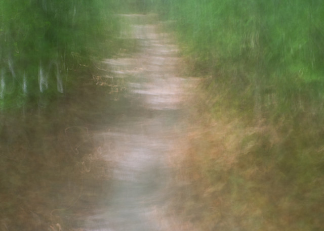 Down Your Path | Abstract Outdoors