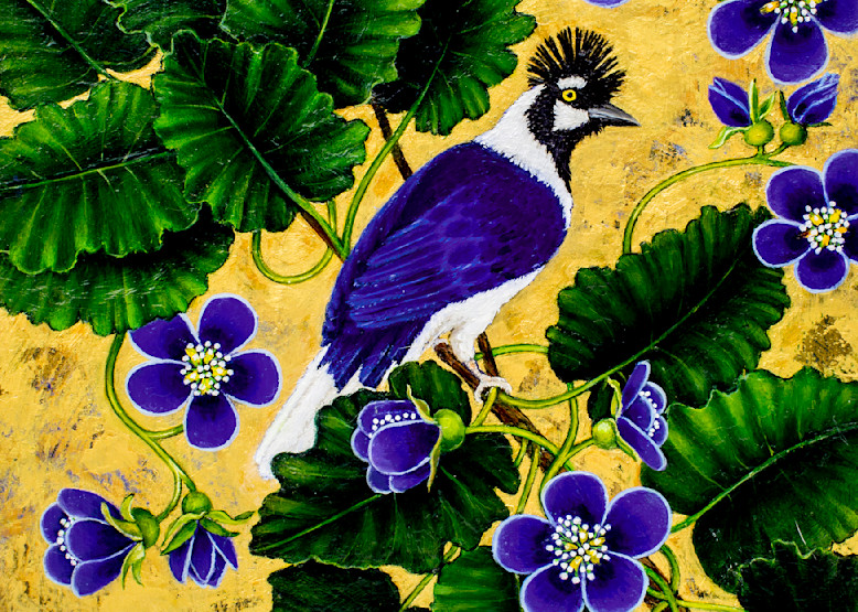 Tufted Blue Jay Wall Art Print by Mia Pratt