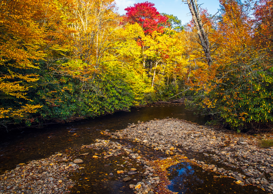 Autumn Spotlight — North Carolina fine-art photography prints