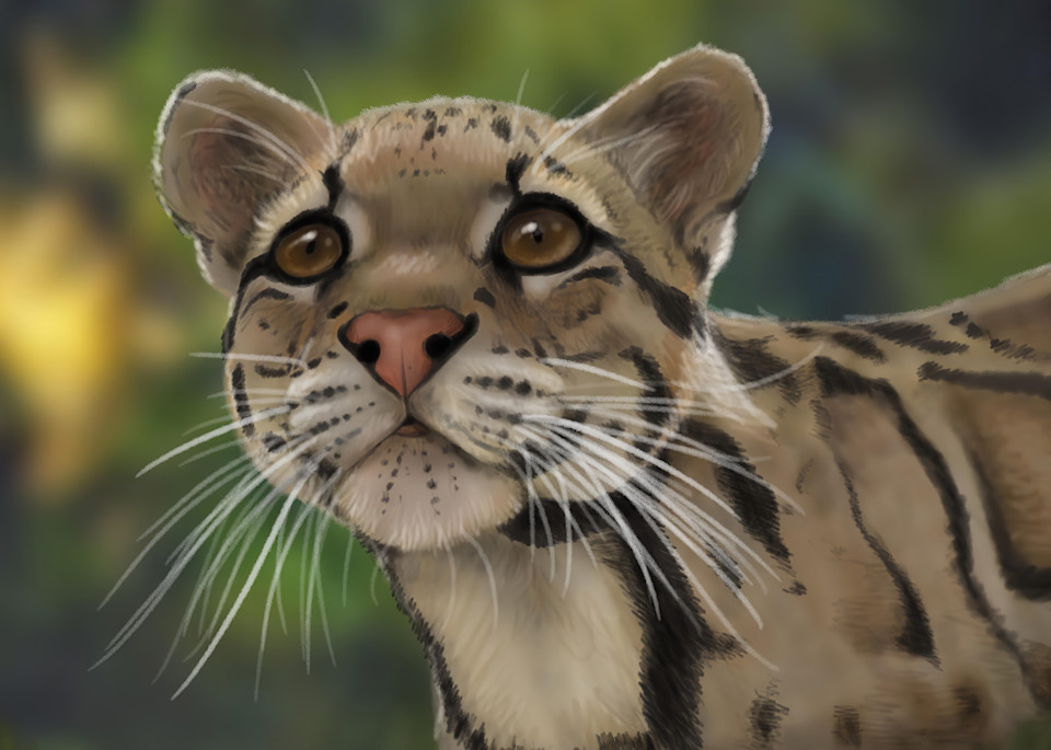 Clouded Leopard Art | Cheryl Crowley