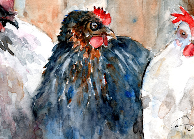 Chickens Three Art | Claudia Hafner Watercolor