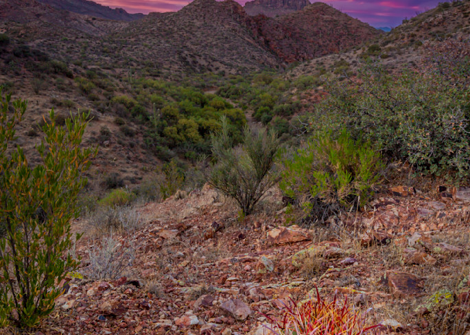 Arizona Photography wall art print | Beautiful Hazard  | Thomas Watkins Fine Art