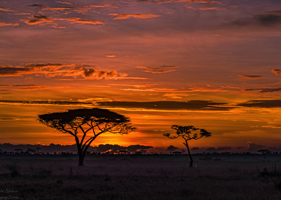 Sunrise On The Serengeti Photography Art | johnnelson