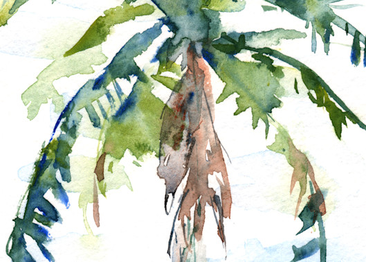 Palm Tree 1 Art | Claudia Hafner Watercolor