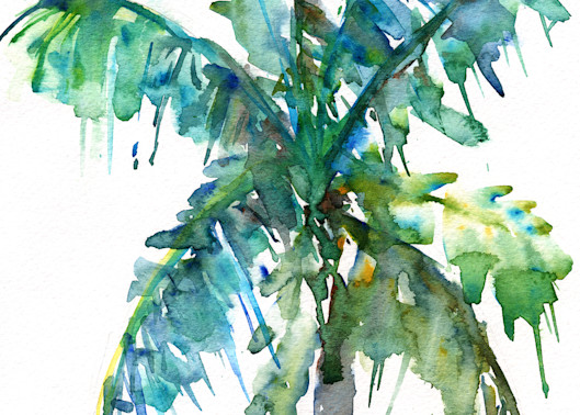 Palm Tree 2 Copy Art | Claudia Hafner Watercolor