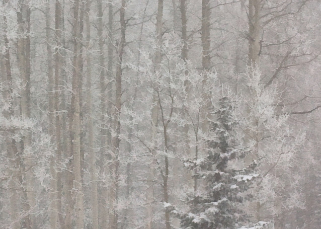 Winter Peace  Photography Art | SnowMoon Ink, LLC