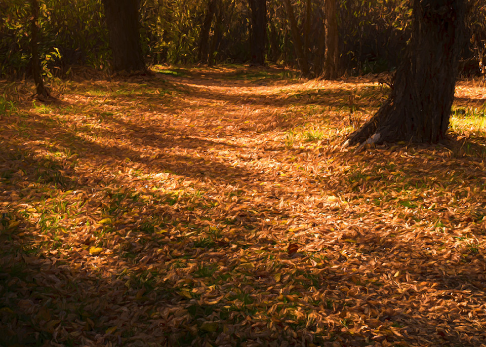Autumn's Golden Pathway