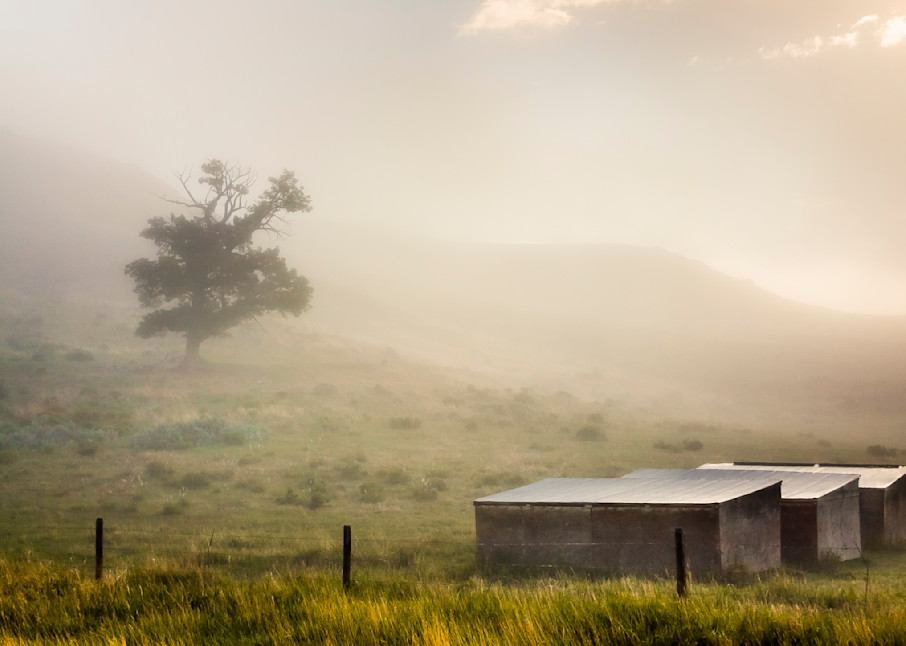 Three Barns In The Fog Photography Art | BearFeather Studio LLC
