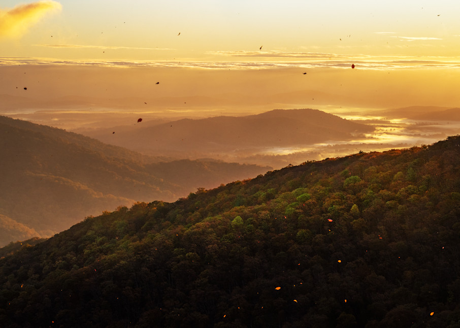 Mountain Sunrise with Fall Leaves in Shenandoah National Park, Virginia -- Fine Art Photography Wall Art