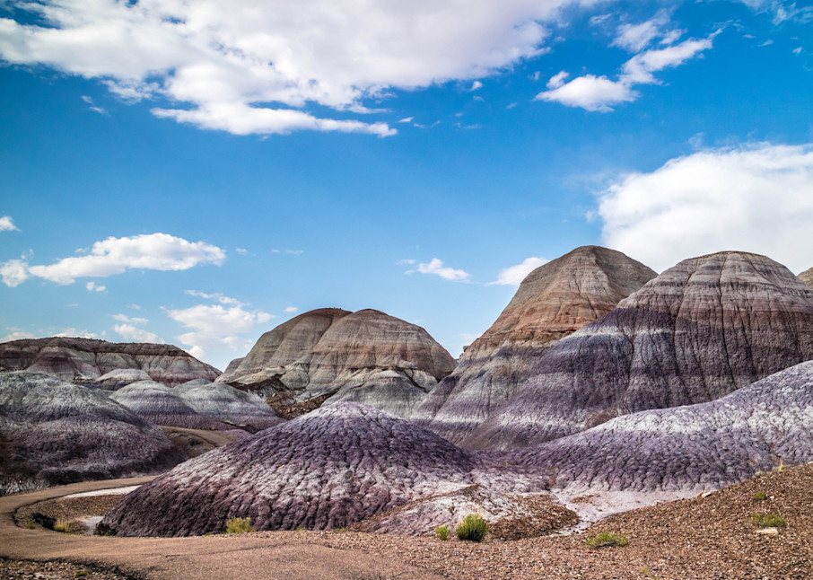 Petrified Forest National Park in Arizona