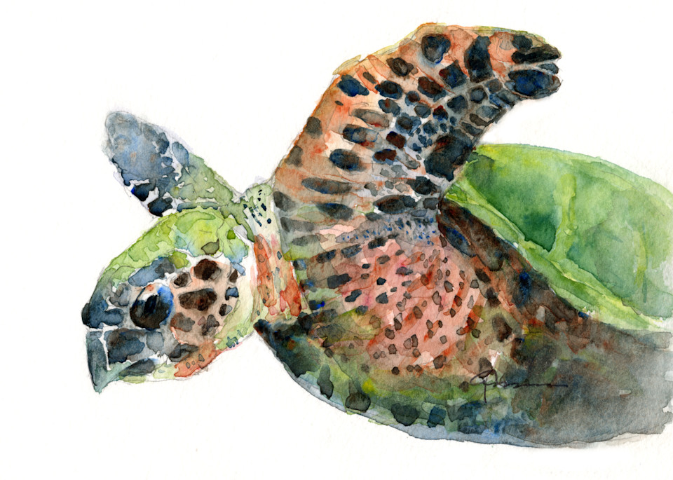 Sea Turtle 5 Art | Claudia Hafner Watercolor