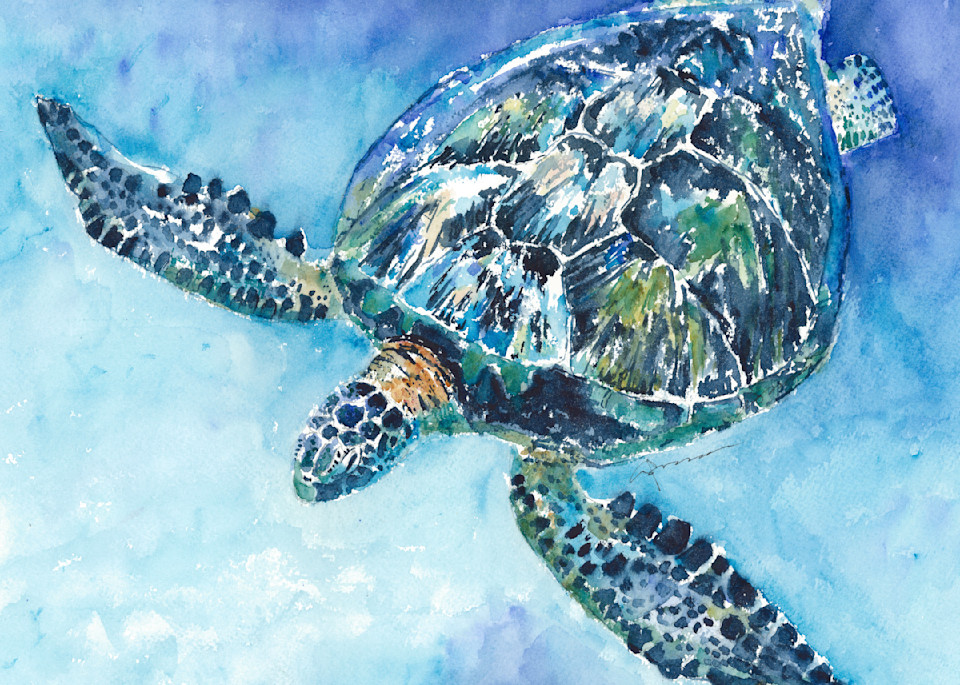 Sea Turtle 21 Art | Claudia Hafner Watercolor